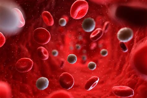 Red Blood Cell Count: Understanding MCV, MCH, RDW, .